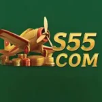 S55 Game