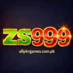 ZS999